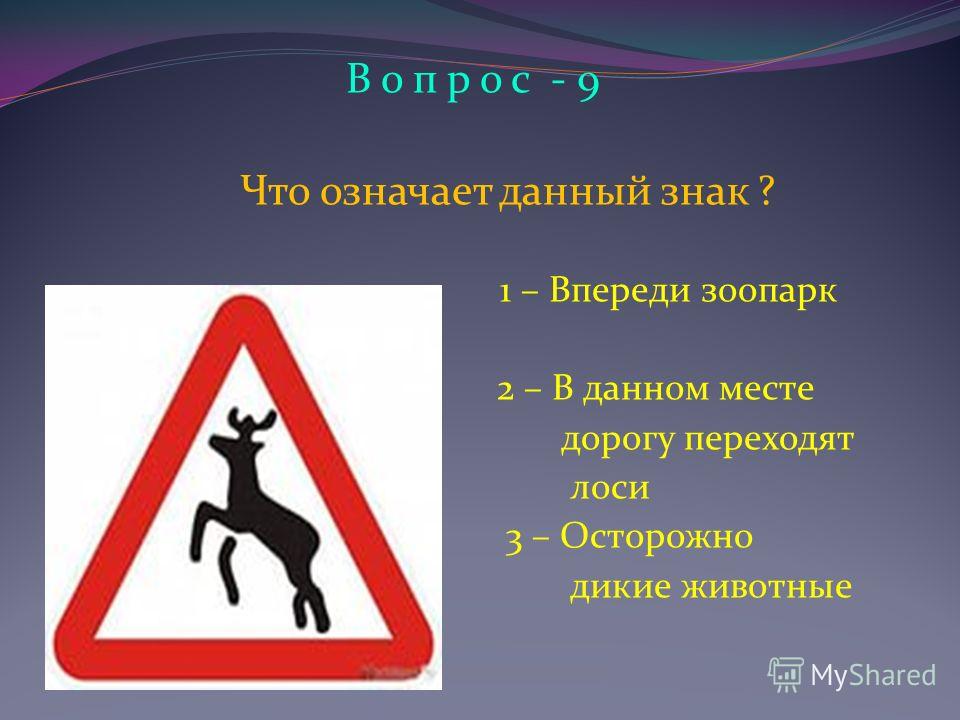 Что означает знак осторожно дети: Знак «Осторожно, дети!» — для чего нужен и где устанавливается