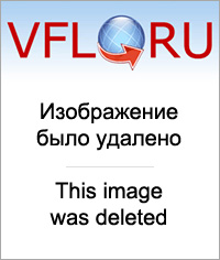 Сокрытие номерного знака: Что считается умышленным сокрытием номерных знаков — Российская газета