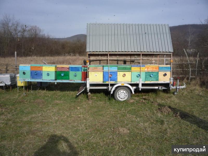 Авито краснодарский край купить прицеп. Пчелоприцеп на 20 ульев. Легковой пчелоприцеп. Прицеп пчеловодческий. Прицеп для ульев.