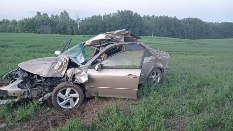 Аварии с лосями: В ДТП с лосем на дороге Мины — Новинка в Гатчинском районе Ленобласти погибла девушка 1 июня 2022г. - 2 июля 2022