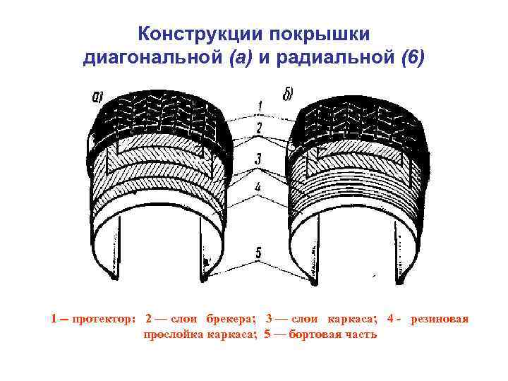 Радиальные шины что это: Диагональные и радиальные шины