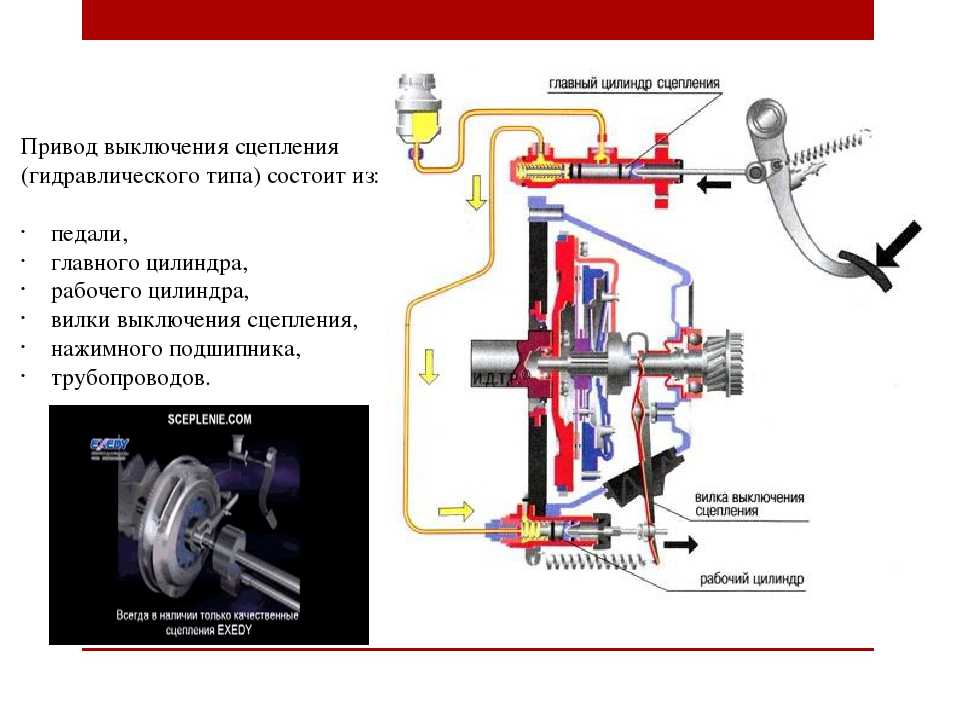 Сцепление устройство принцип работы: ТрансТехСервис (ТТС): автосалоны в Казани, Ижевске, Чебоксарах и в других городах