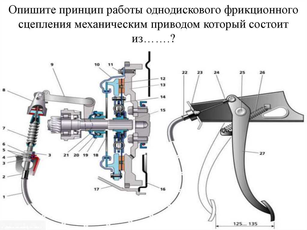 Сцепление назначение устройство и работа: ТрансТехСервис (ТТС): автосалоны в Казани, Ижевске, Чебоксарах и в других городах