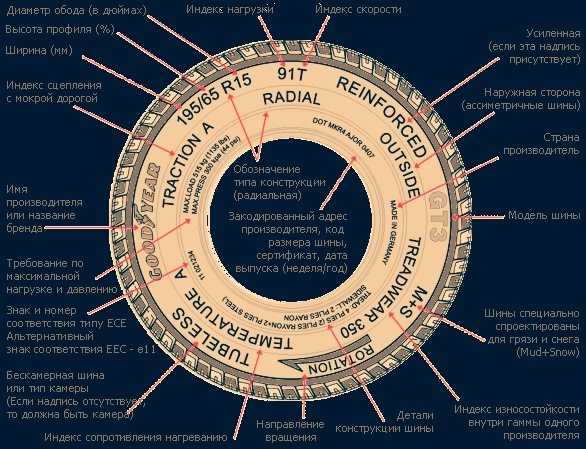 Как узнать год выпуска шины ханкук: ТрансТехСервис (ТТС): автосалоны в Казани, Ижевске, Чебоксарах и в других городах