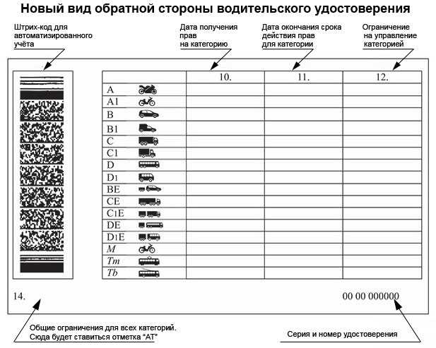 Что означает на водительском удостоверении as: Что обозначает отметка AS или MS возле категории В1 в водительских правах