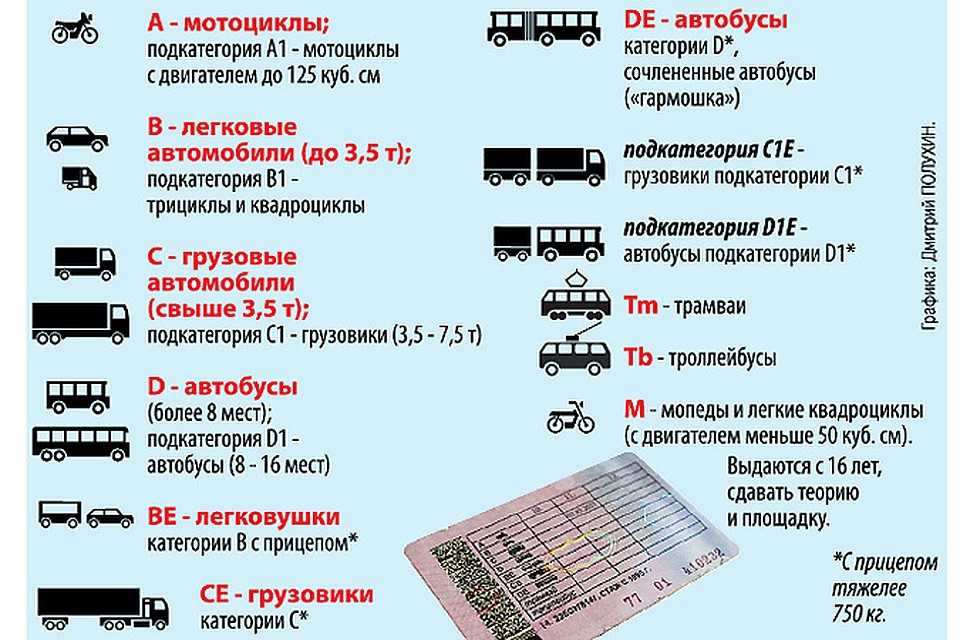 Расшифровка категорий водительских: Категории водительских прав: виды, расшифровка :: Autonews
