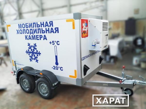Прицеп холодильник: Прицеп-холодильник для легкового автомобиля – какой выбрать?