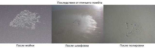 Чем отмыть птичий помет: Как удалить птичий помет с кузова автомобиля?