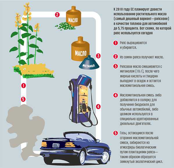 Новые виды топлива: Альтернативные виды топлива