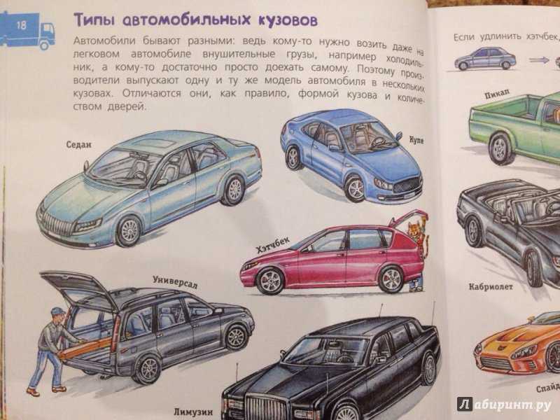 Виды машин по кузову и их название: виды и названия легковых, а также фото и примеры