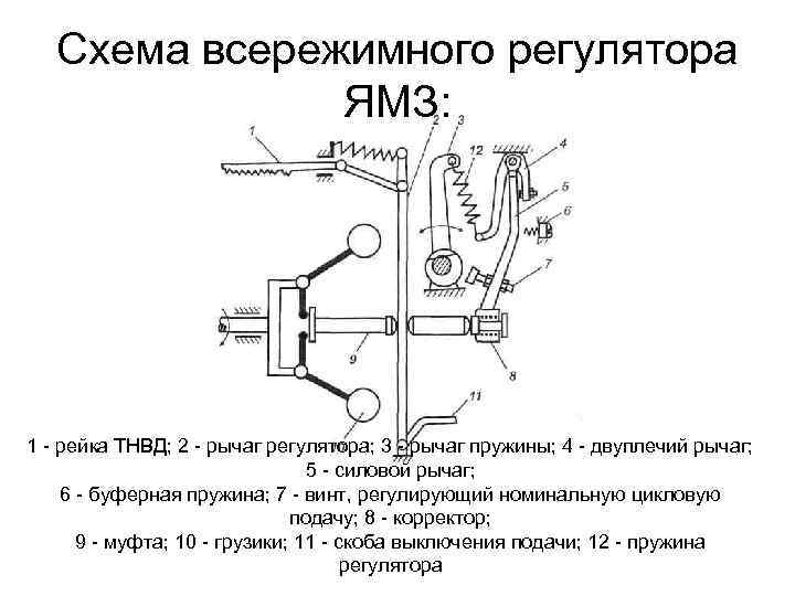 Устройство и работа тнвд: Устройство ТНВД - autoleek