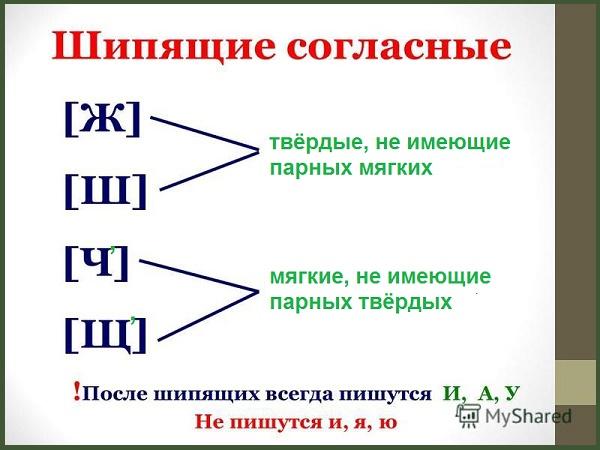 Надо клеить букву ш или нет: Клеить или нет знак «Шипы» в 2021 году. Нюансы :: Autonews