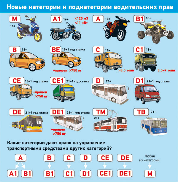 Как открыть категорию ве если есть в: что это значит, когда нужна и в каких случаях делается, как получить при замене прав, открыть при наличии категории B
