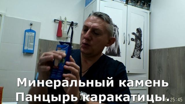 Какую покупать незамерзайку: Как правильно выбрать незамерзайку для автомобиля