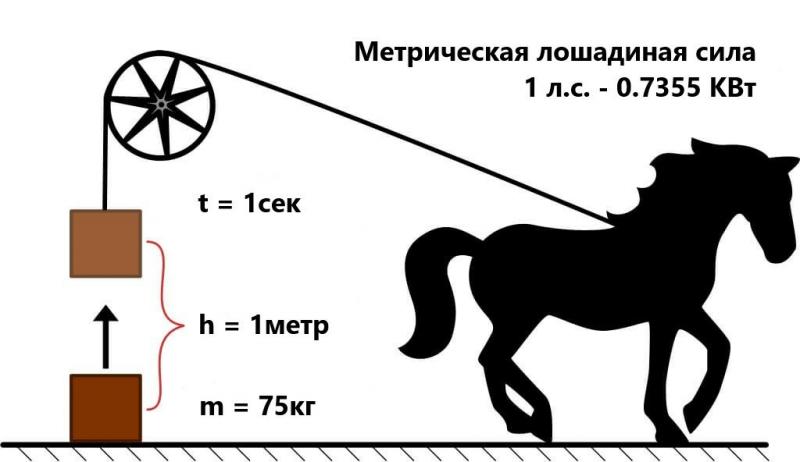 Почему измеряют в лошадиных силах: Почему мощность измеряется в лошадиных силах?