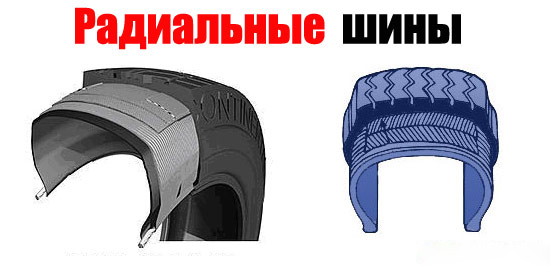 Что значит радиальная шина: Диагональные и радиальные шины