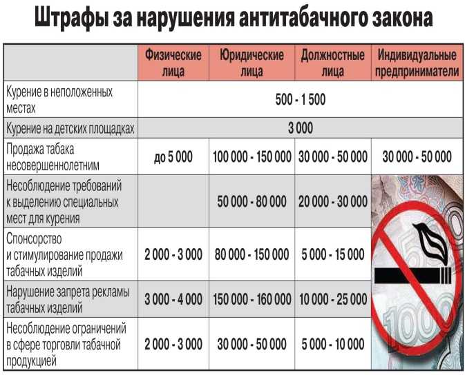 Штраф за отсутствие документов: Все нюансы вопроса, какой штраф за езду без прав возлагается на нарушителя