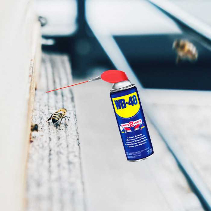 Чем заменить wd 40 в домашних условиях: простой рецепт от читателя «За рулем» — журнал За рулем