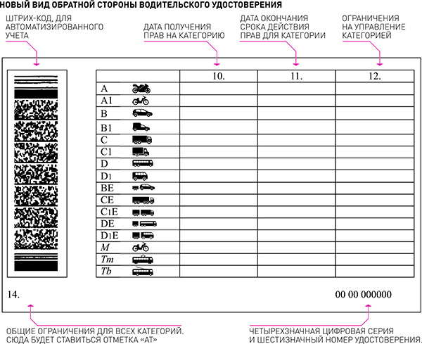 Категория м как получить: как получить и сколько стоит сдача