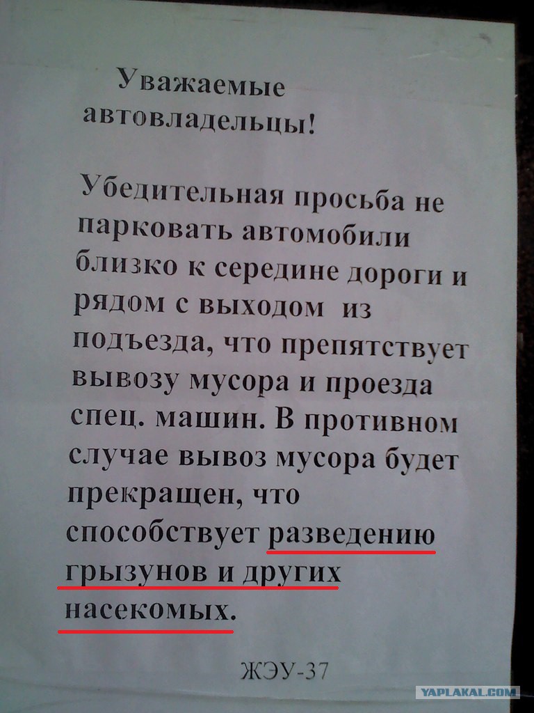 Куда пожаловаться на неправильно припаркованный автомобиль: Как и куда пожаловаться на незаконную парковку в Нижнем Новгороде? | НиНо Город