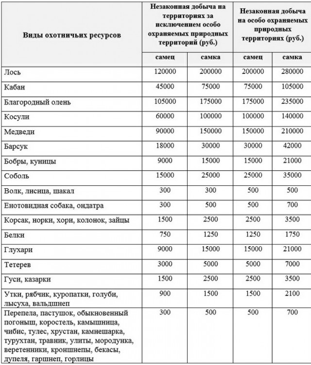 Наказание за сбитого лося: Штраф за сбитого лося на дороге в 2023 году 2023