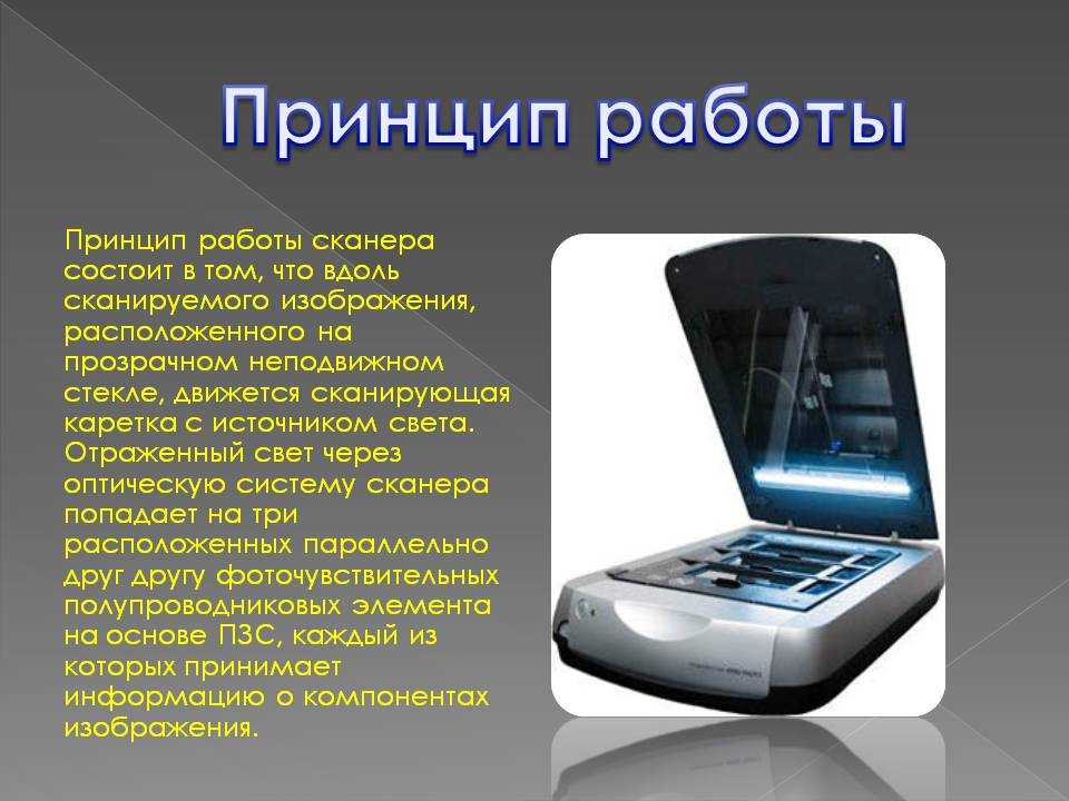 Какой сканер лучше: рейтинг недорогих, автономных сканеров и адаптеров, отзывы, советы экспертов