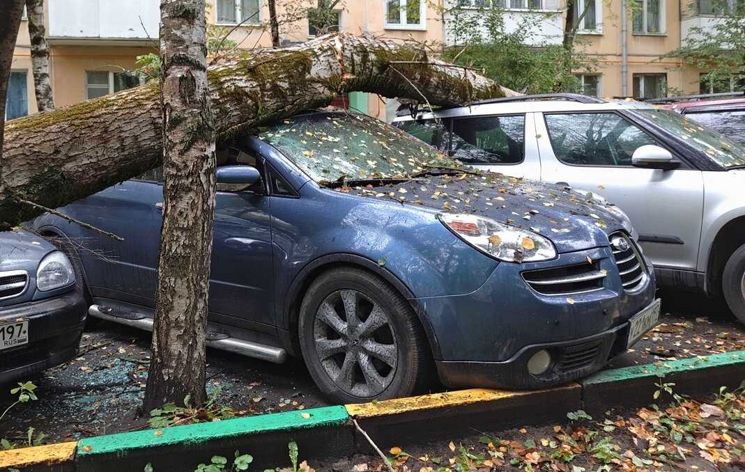 Общие правила разъезда во дворах: как не получить штраф автомобилисту :: Autonews