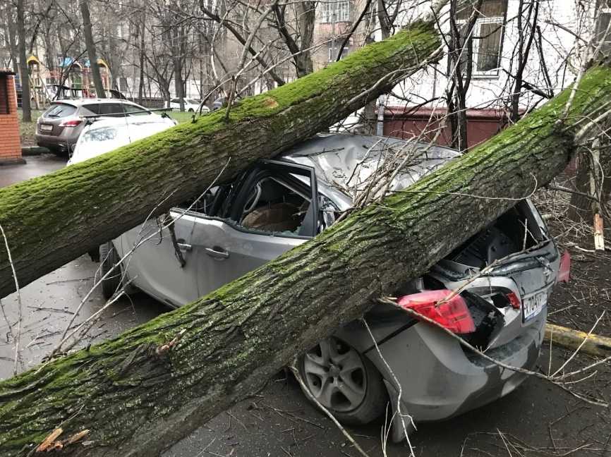Заперли машину во дворе куда звонить: Что делать, если машину заперли на парковке :: Autonews
