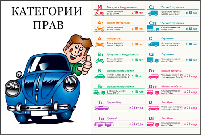 Управление легковым автомобилем какая категория: купить, продать и обменять машину