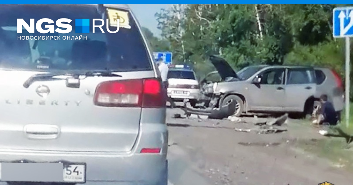 Столкновение с лосем на дороге: В ГИБДД напомнили водителям, как не допустить столкновение с лосем