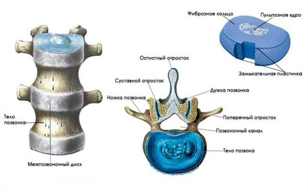 Радиальная грыжа колеса последствия: причины и способы устранения – Прокачай АВТО