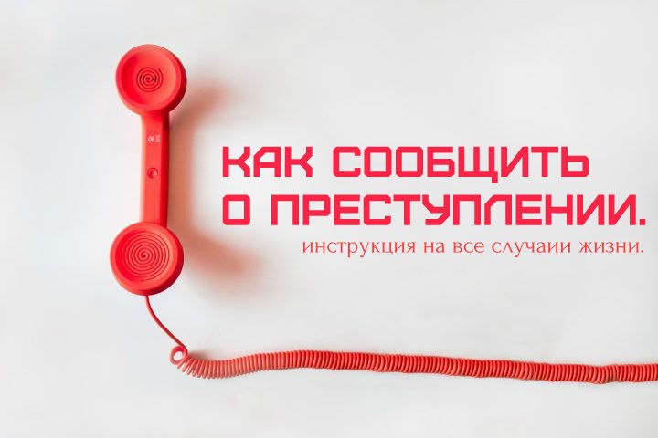 Сообщить о правонарушении: в ГИБДД дали инструкцию :: Autonews