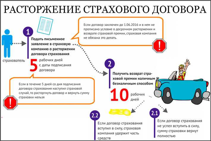 Внести изменения в осаго при замене прав: Нужно ли менять страховку при замене прав — что делать в обязательном и добровольном порядке