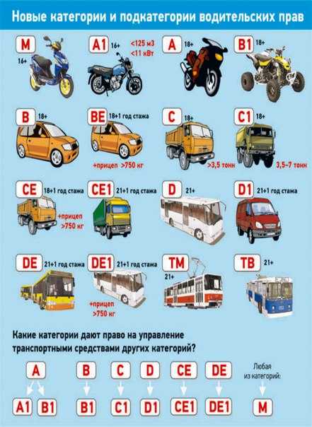 Водительские категории расшифровка: Категории водительских прав: виды, расшифровка :: Autonews