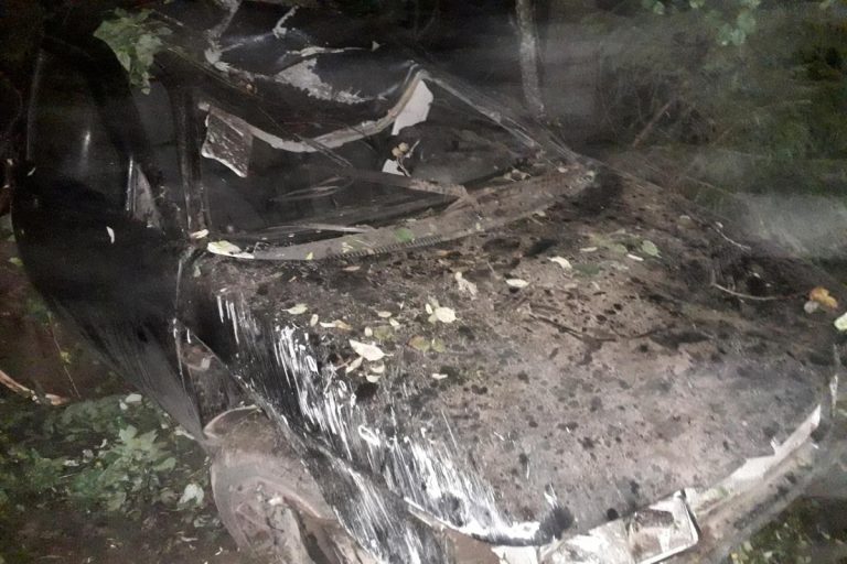 Аварии с лосями: В ДТП с лосем на дороге Мины — Новинка в Гатчинском районе Ленобласти погибла девушка 1 июня 2022г. - 2 июля 2022