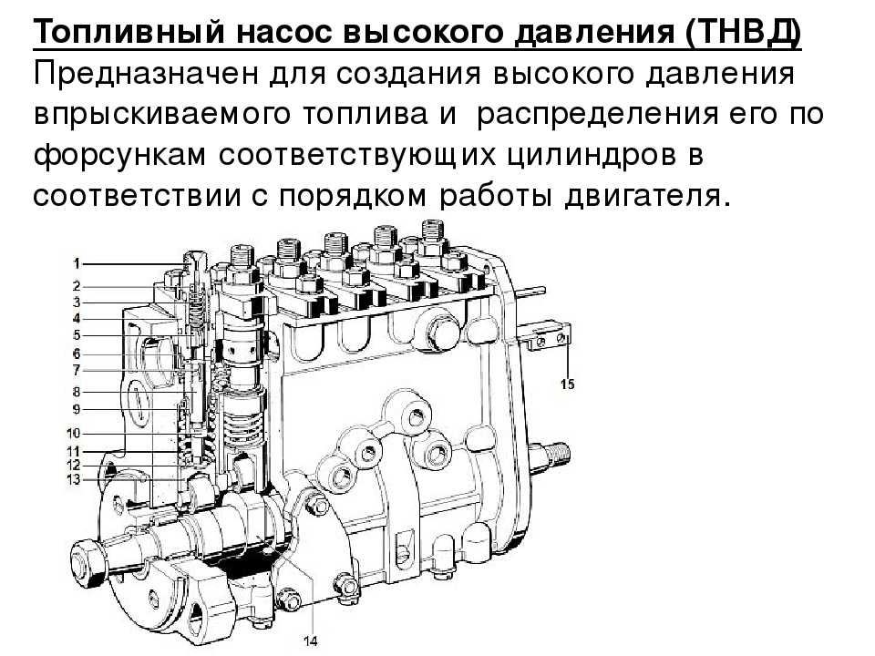 Что такое тнвд в автомобиле бензин: ТНВД: что это такое в машине? Дизель и Бензин