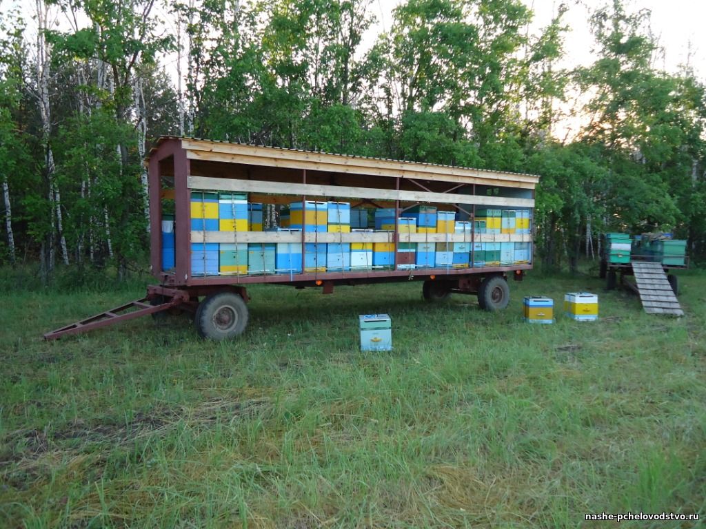 Прицеп для ульев: Прицепы для перевозки пчелиных ульев: фото, цены, отличия