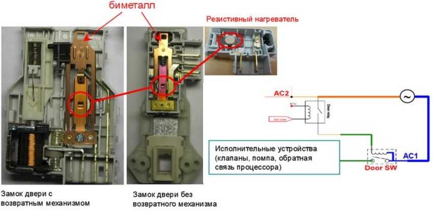 Муравьи в стиральной машине что делать: Рыжие муравьи в квартире, как избавиться от маленьких муравьев в квартире