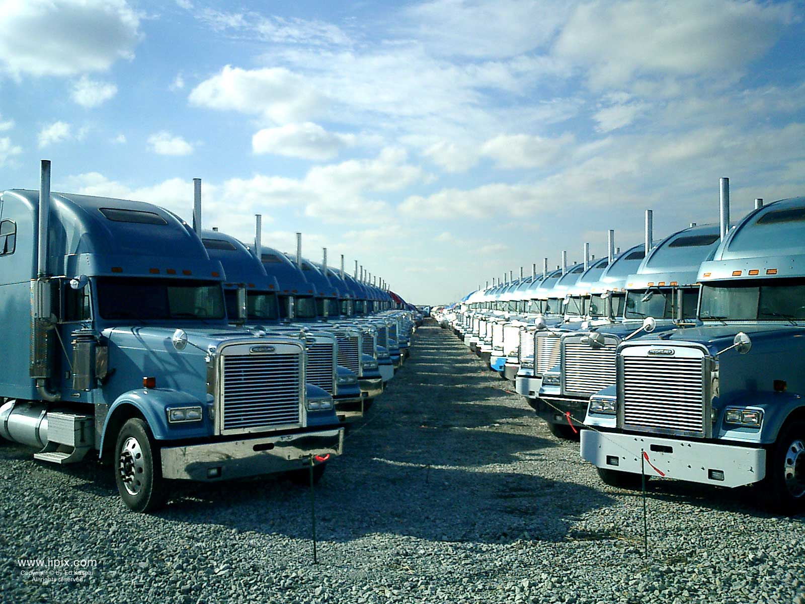 A lot of drivers. Грузовики. Стоянка грузовиков. Парк грузовых автомобилей. Фура.