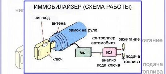 Иммобилайзер заблокировал запуск двигателя: Иммобилайзер заблокировал запуск двигателя: что же делать?