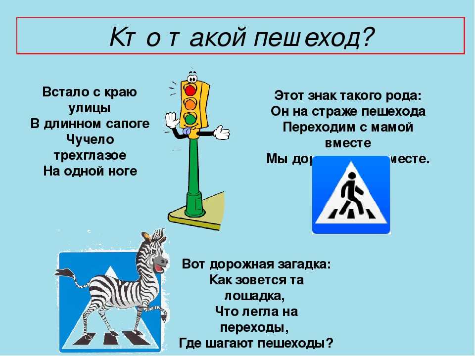 Дорожный знак зебра: Откуда появилась «зебра» на дорогах?