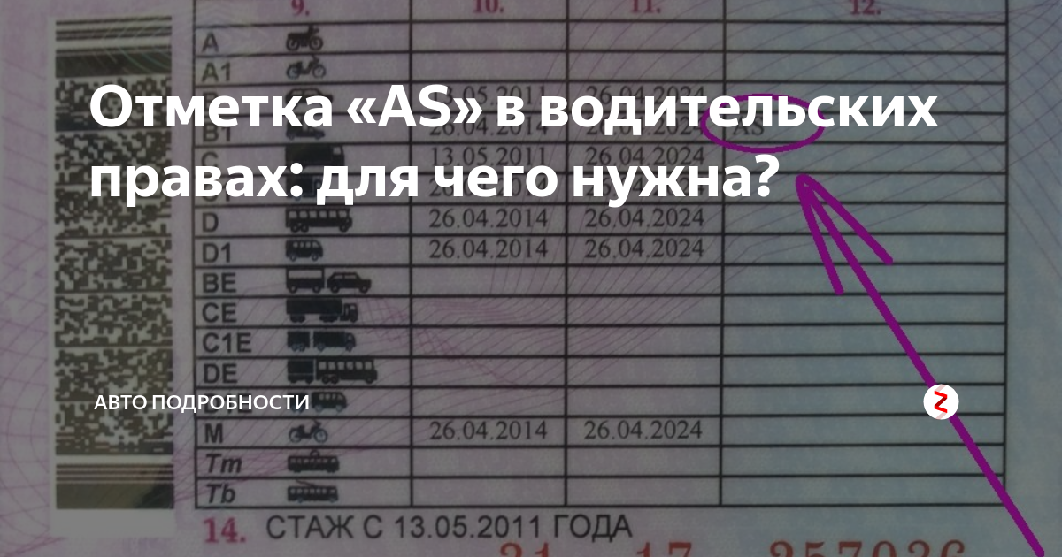 В водительском удостоверении as: Отметка AS | Какие отметки есть в правах и что они означают
