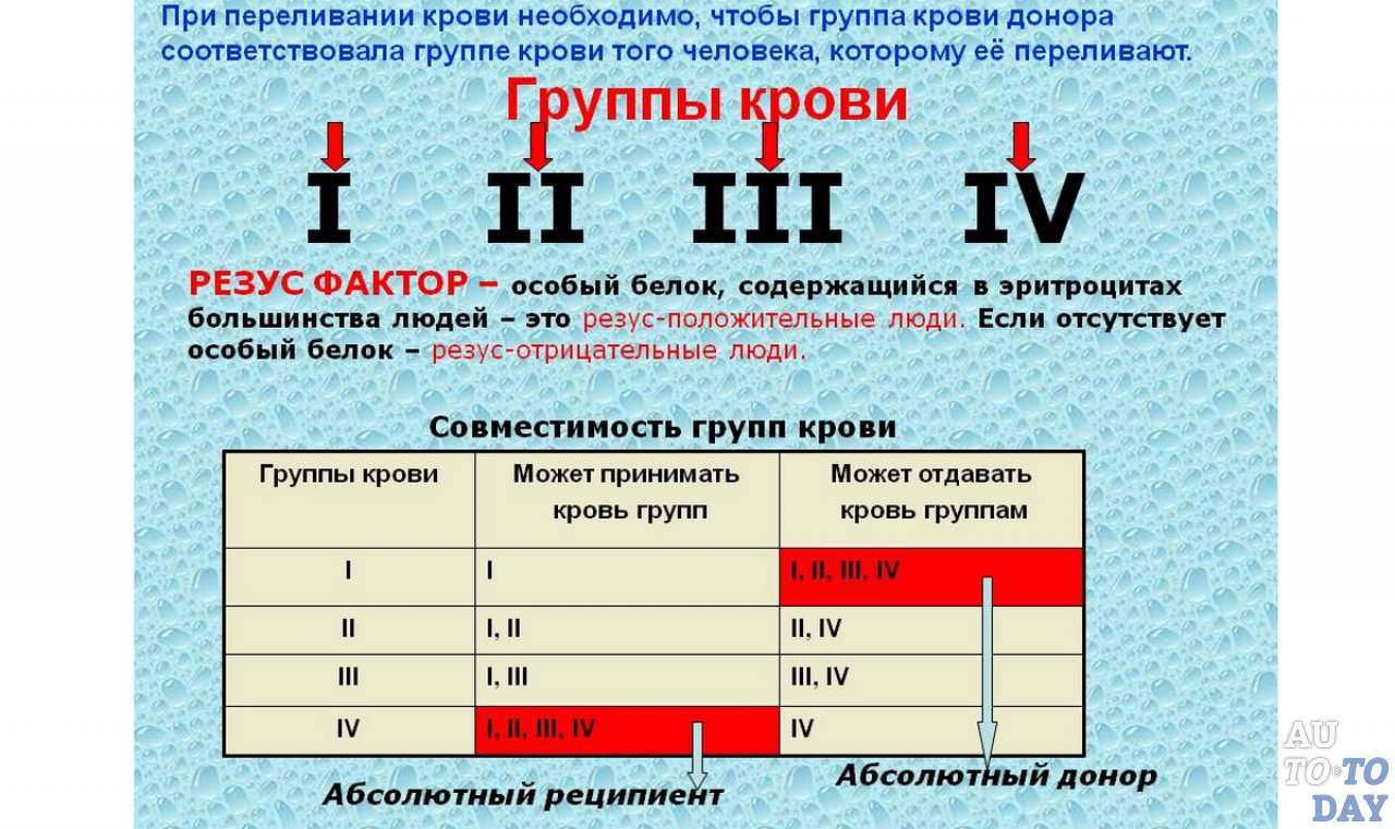Ин что это: это ... значение слова ИН