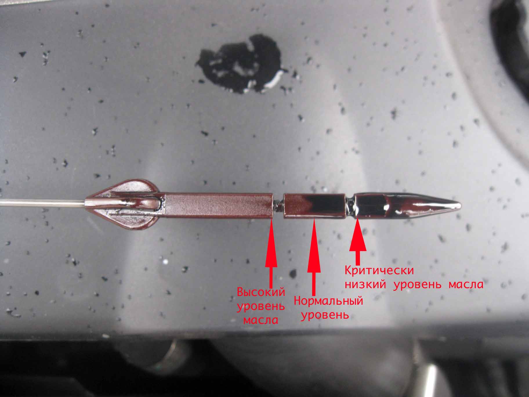 Как правильно смотреть масло в двигателе: Как проверять уровень масла в двигателе?