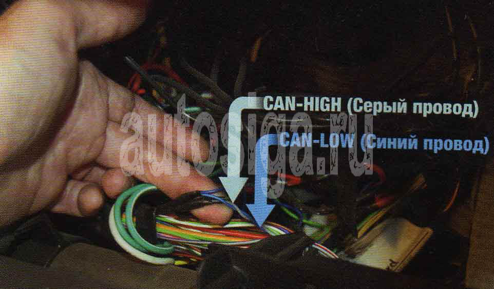 Can шина в автомобиле: Sorry! This site is experiencing technical difficulties.
