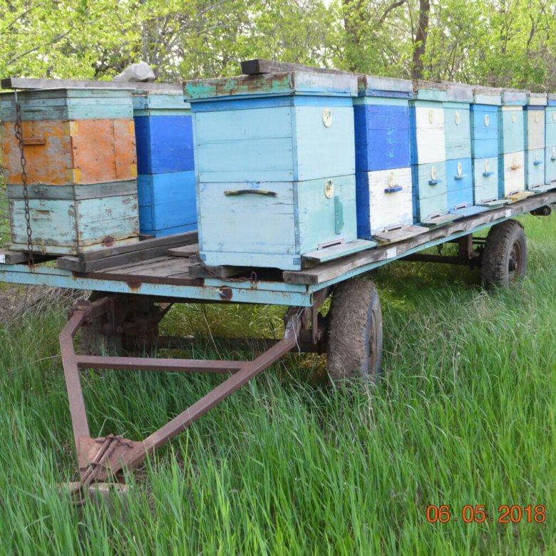 Купить прицеп для пчел. Пчелоприцеп на 20 ульев. Прицеп пчеловод Орион-9 с удлиненной платформой. Двухосный пчелоприцеп. Пчеловодный прицеп для УАЗ.