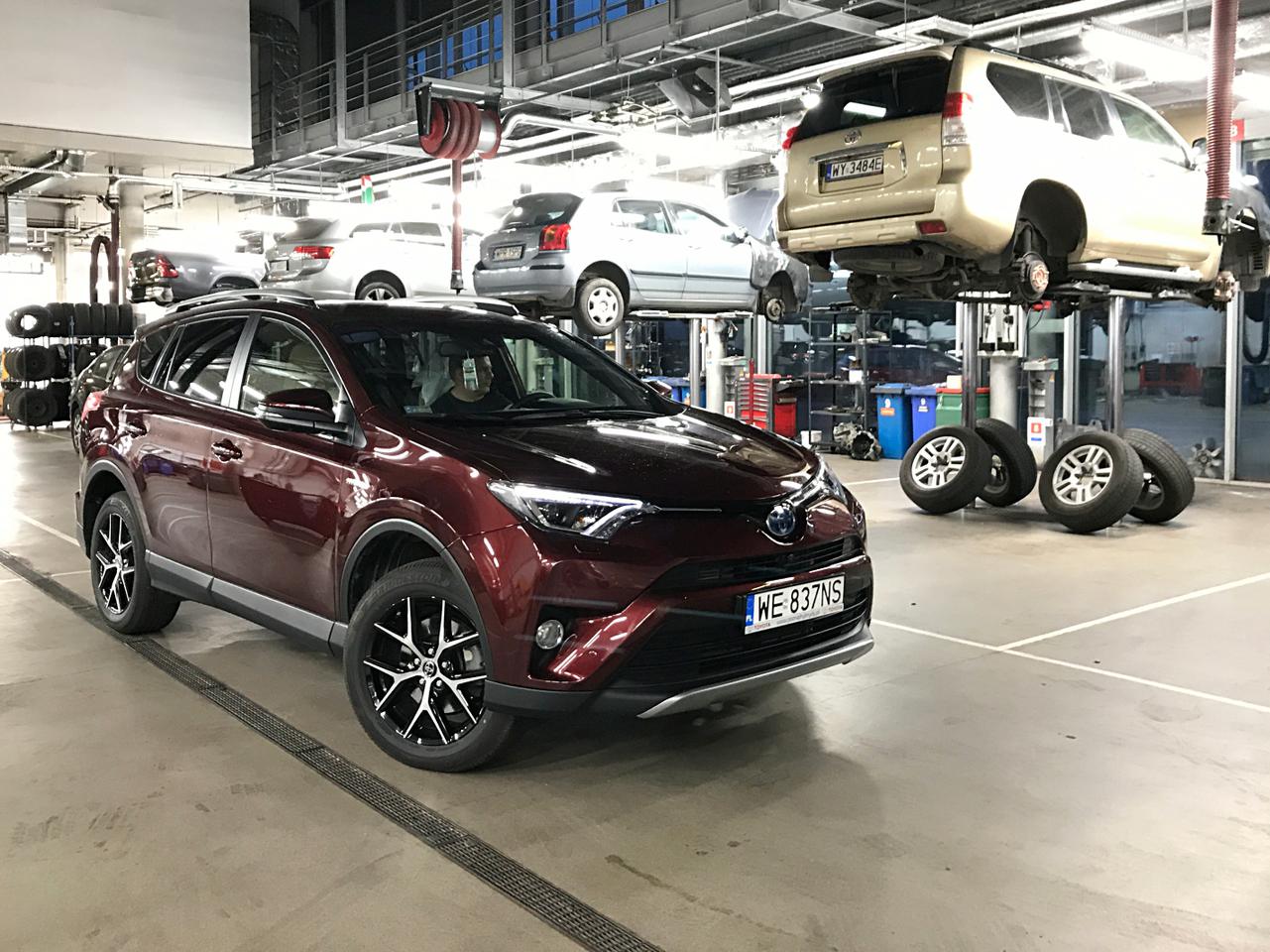 Где собирают тойота рав 4 в россии: Производство нового Toyota RAV4 стартует в России в октябре — Российская газета