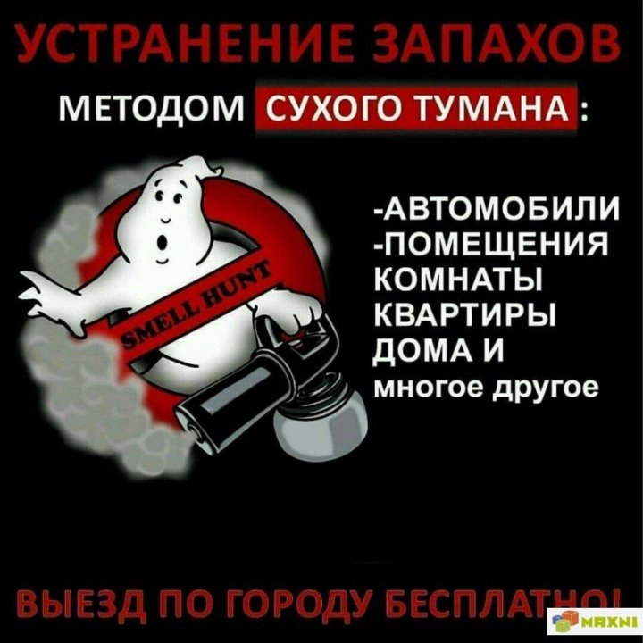 Сухой туман от запахов: Чистое авто: сухой туман для обработки