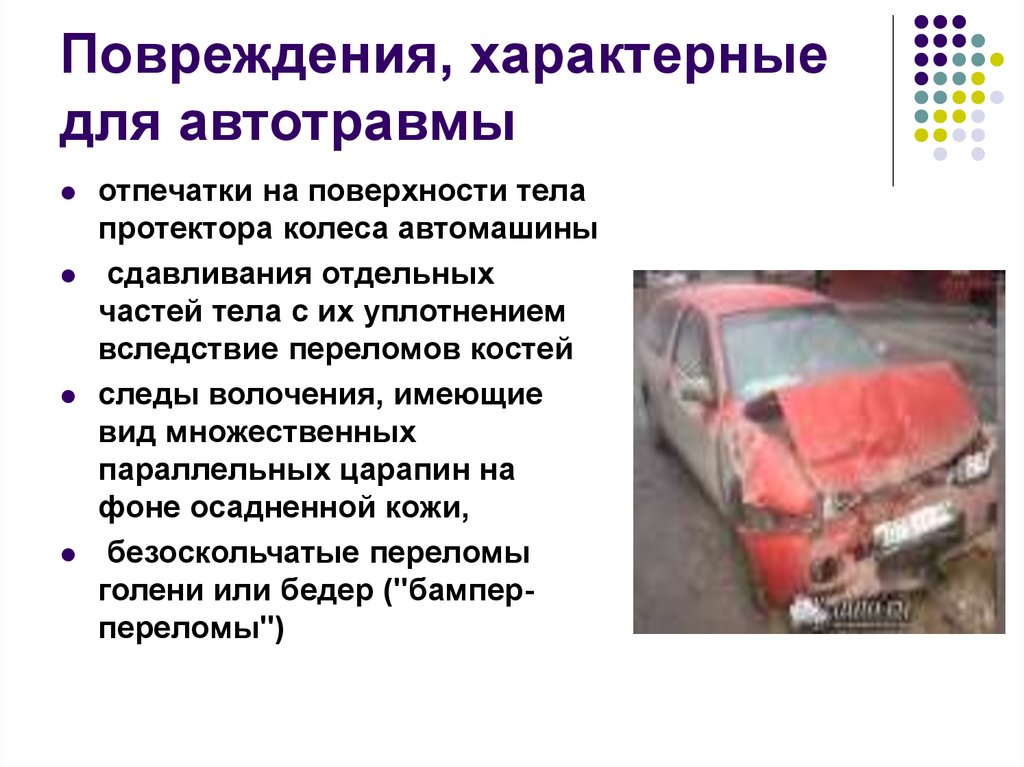 Травмы собак виды после автоаварии: Если собаку сбила машина. Интервью с хирургом