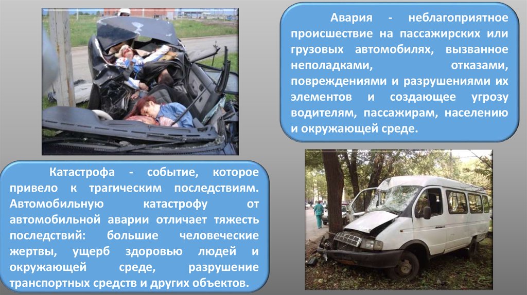 Травмы собак виды после автоаварии: Если собаку сбила машина. Интервью с хирургом